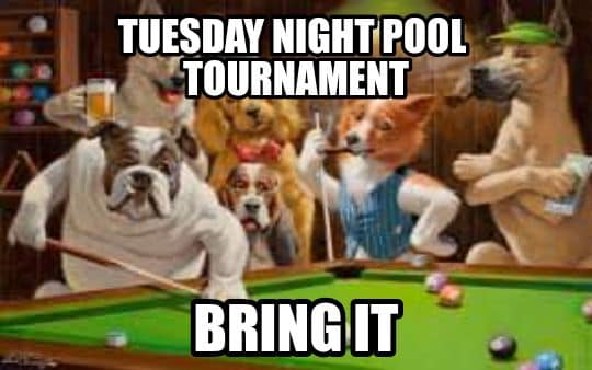 Tuesday Night Pool Tournament